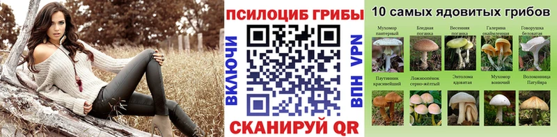 где можно купить   Армавир  Псилоцибиновые грибы GOLDEN TEACHER 